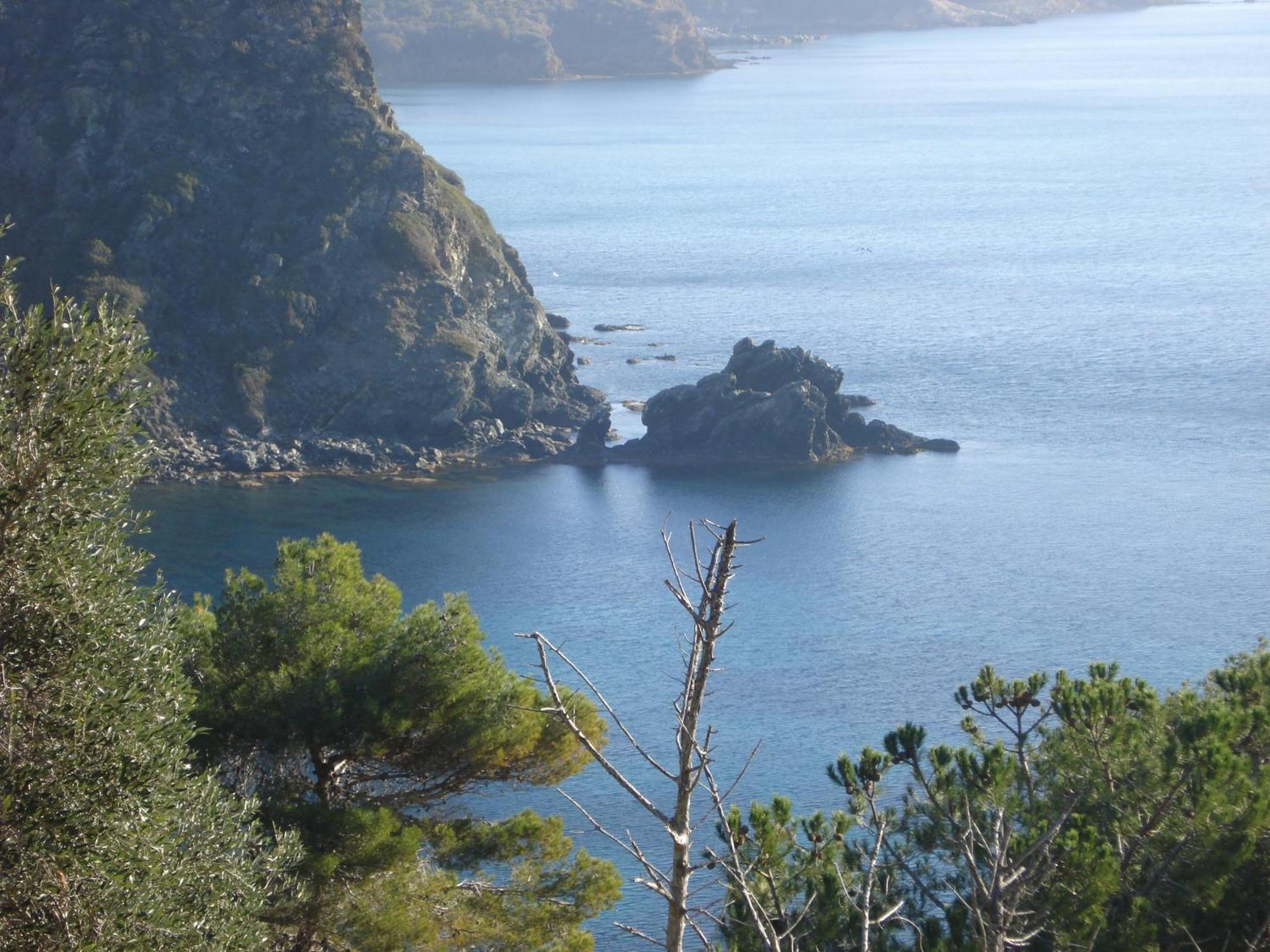 Villasoledad Appartamenti Per Vacanze Capoliveri  Exterior foto